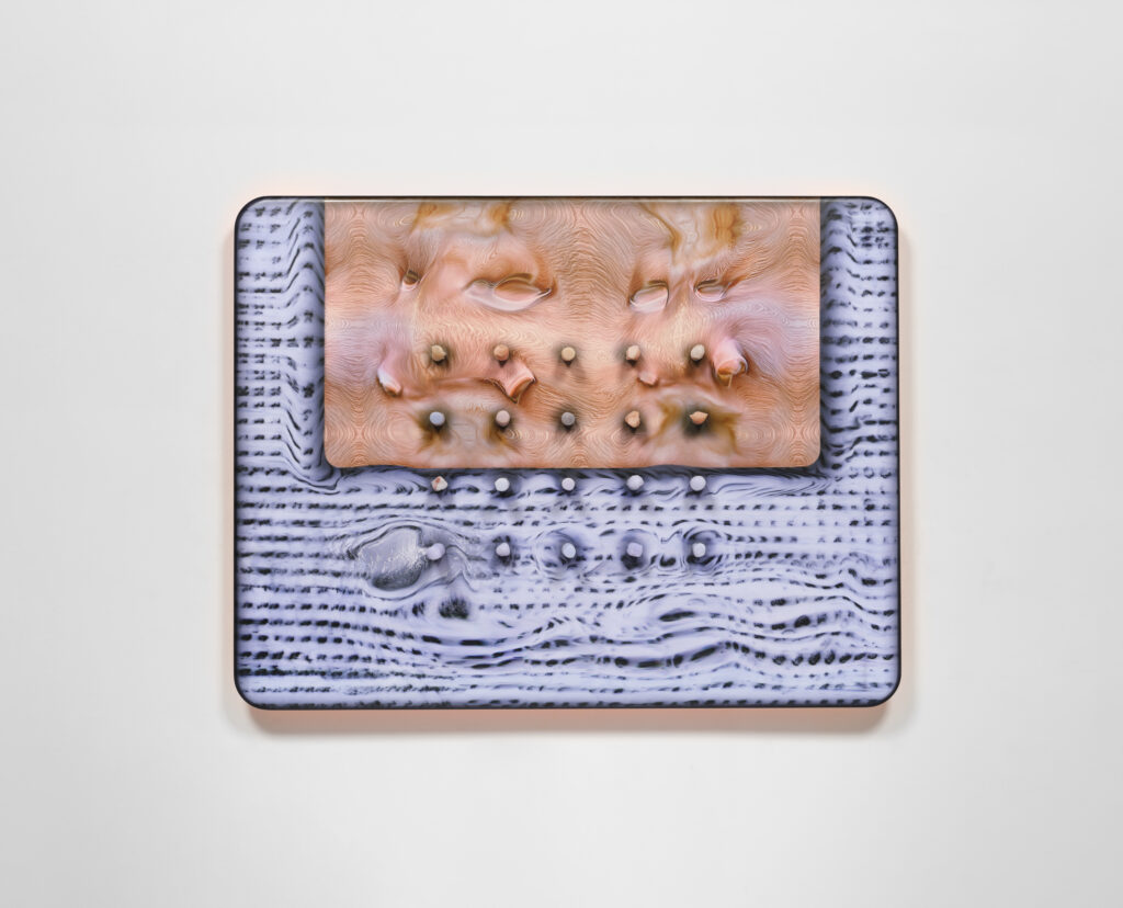 Tishan Hsu, skin-fur-mesh-blue, 2025.